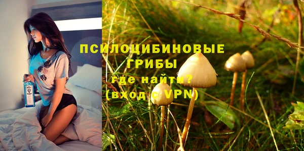 синтетический гашиш Горнозаводск