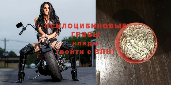 соль курить ск Горняк