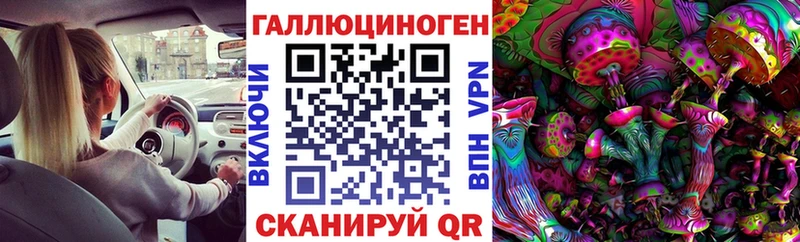 Галлюциногенные грибы Cubensis  Ачинск 